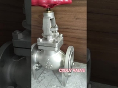 Industrial Globe Valve Gate Valve High Pressure Pneumatic Motive
