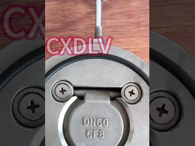 Soft Seat Swing Check Valve with Carbon Steel Body and SS304 swing check valve