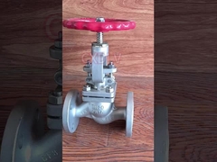 Stainless Steel Globe Valve CF8M / CF8 Cryogenic Temperature Easy To Maintain