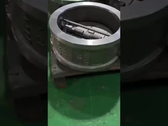 Dual Plate Check Valve