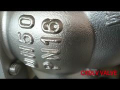 DN50 DN80 DN100 Stainless Steel Globe Stop Lifting Check Valve Flange Connection Style
