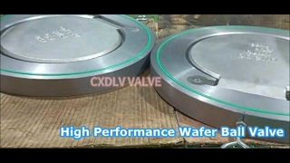 Single Plate Swing Wafer Check Valve Viton Seat