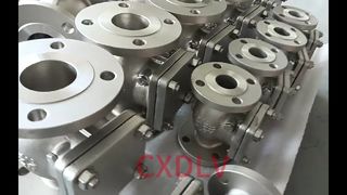 Swing Check Valve Flanged Connection H44W
