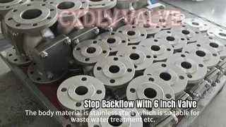 Swing Check Valve Flange Connection PN16