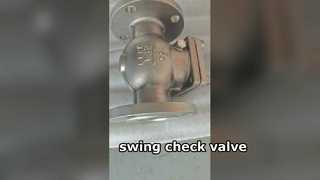 Heavy Duty Flanged Check Valve One Way Flow