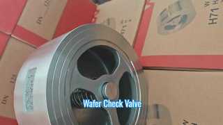 3/4 Inch Wafer Check Valve For Chemical Processing