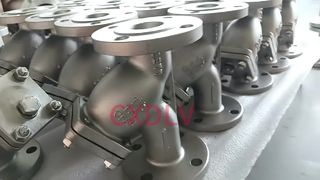 DN40 Stainless Steel Y-Strainer ANSI150LB RF Connection 