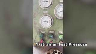 DN125 PN16 Y-strainer Test Pressure for Body Shell
