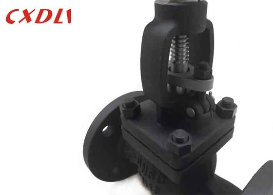 Normal Temperature Globe Valve Oil Industry Manual Operated Cast Steel Wcb