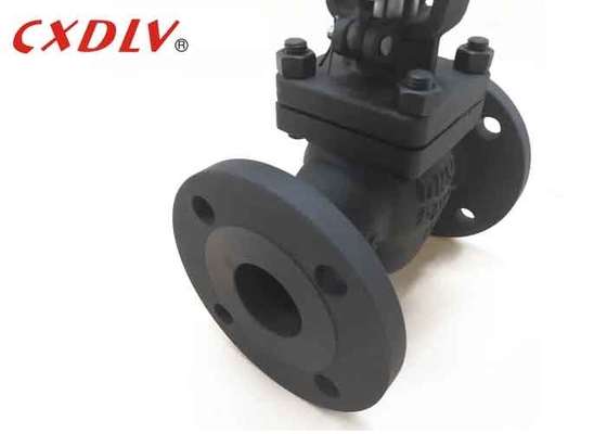 Normal Temperature Globe Valve Oil Industry Manual Operated Cast Steel Wcb
