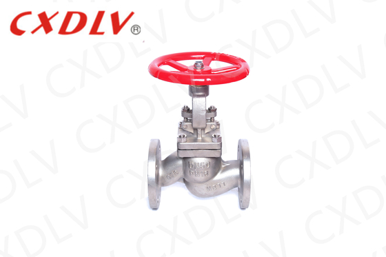 CF8M / CF8 Stainless Steel Globe Valve for Cryogenic Temperature Applications