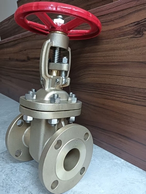 Flange Connection CF8 Stainless Steel Gate Valve for Industrial and Heavy-Duty Applications