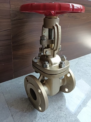 Rising Stem Handwheel Gate Valve with 150LB Stainless Steel CF8M Flange Ends for Fluid Control and Easy Operation