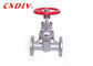 API Class Flanged Gate Valve Industrial Grade For Water With Soft Seal Seated