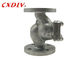 SS316 Steam Lift Type 2 Inch PN16 Flanged Check Valve