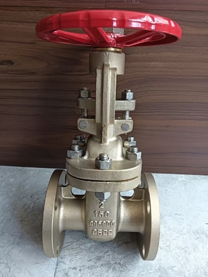 Flange Connection CF8 Stainless Steel Gate Valve for Industrial and Heavy-Duty Applications